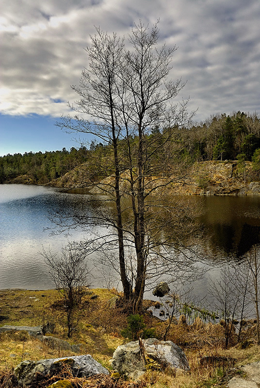 DSC_6116k.jpg - ***