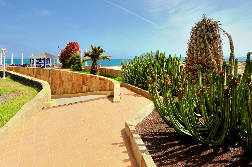DSC_1566min.jpg - Fuerteventura , miejscowosc Corralejo