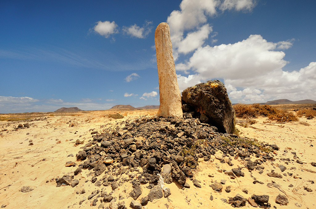 DSC_2106kmin.jpg - Fuerteventura , miejscowosc Majanicho