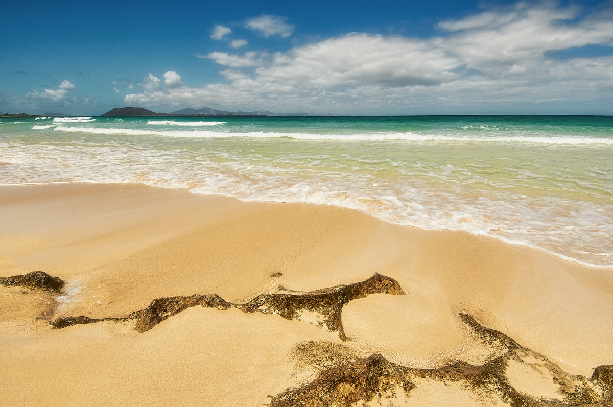 DSC_3932MinD.jpg - Plaza Grandes Playas de Corralejo