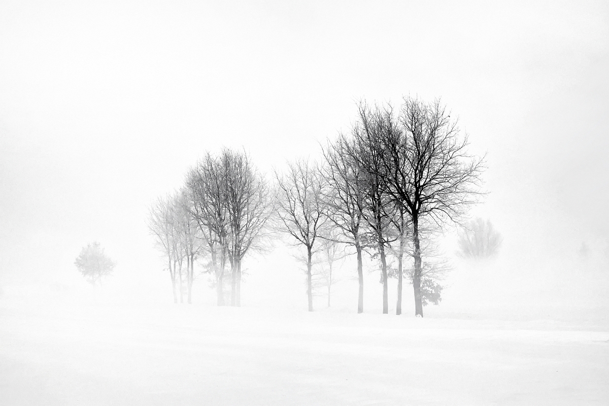 _DSC6061B&WMINd.jpg - Zuławy