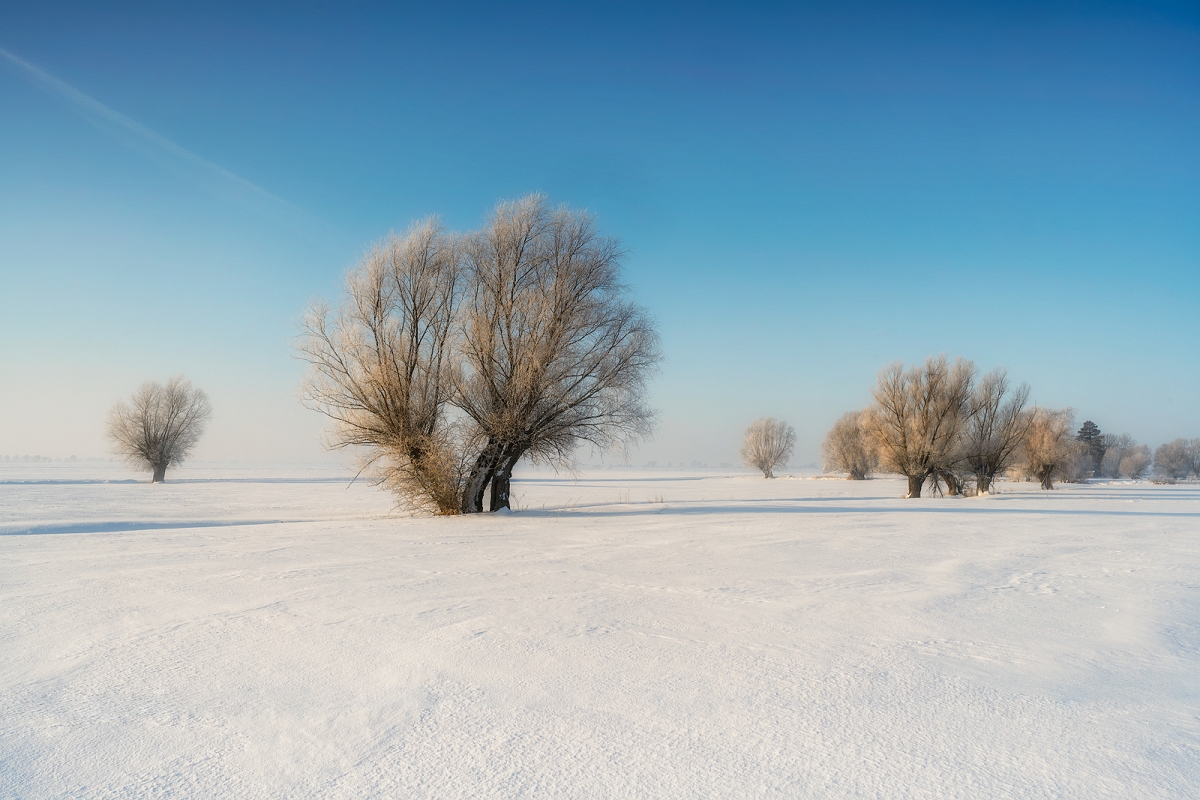 _DSC6155wyjMinD.jpg - Zimowe zuławy