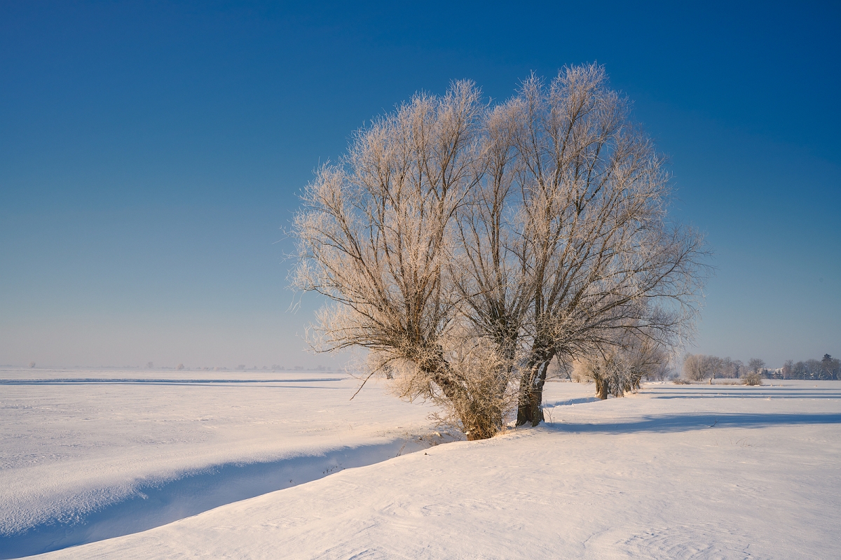 _DSC6159AMinD.jpg - Zima
