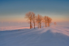 _DSC6067aMinD