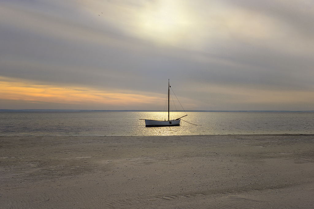 DSC_2146k4kmin.jpg - * W miekkim swietle wieczoru *