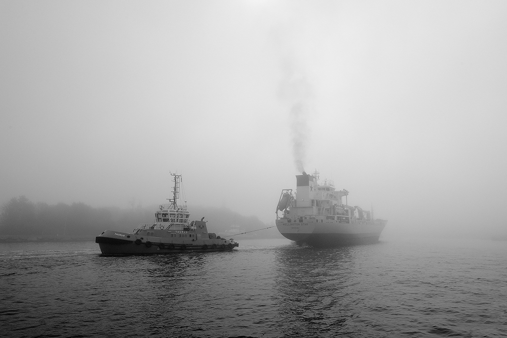 DSC_4178k1bw.jpg - * Praca wre nawet we mgle - port Gdanski *