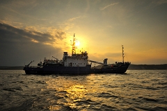 DSC_9134k kopia1m