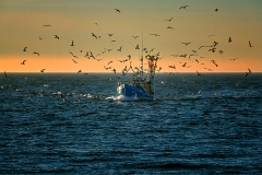 _DSC0776ortMinD