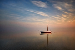 _DSC3111orgMinD