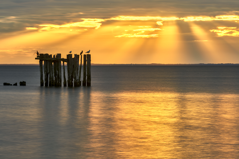 DSC_1766kmin.jpg - Ranek