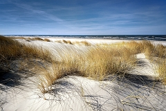 DSC_9408k2abcPhotoAR