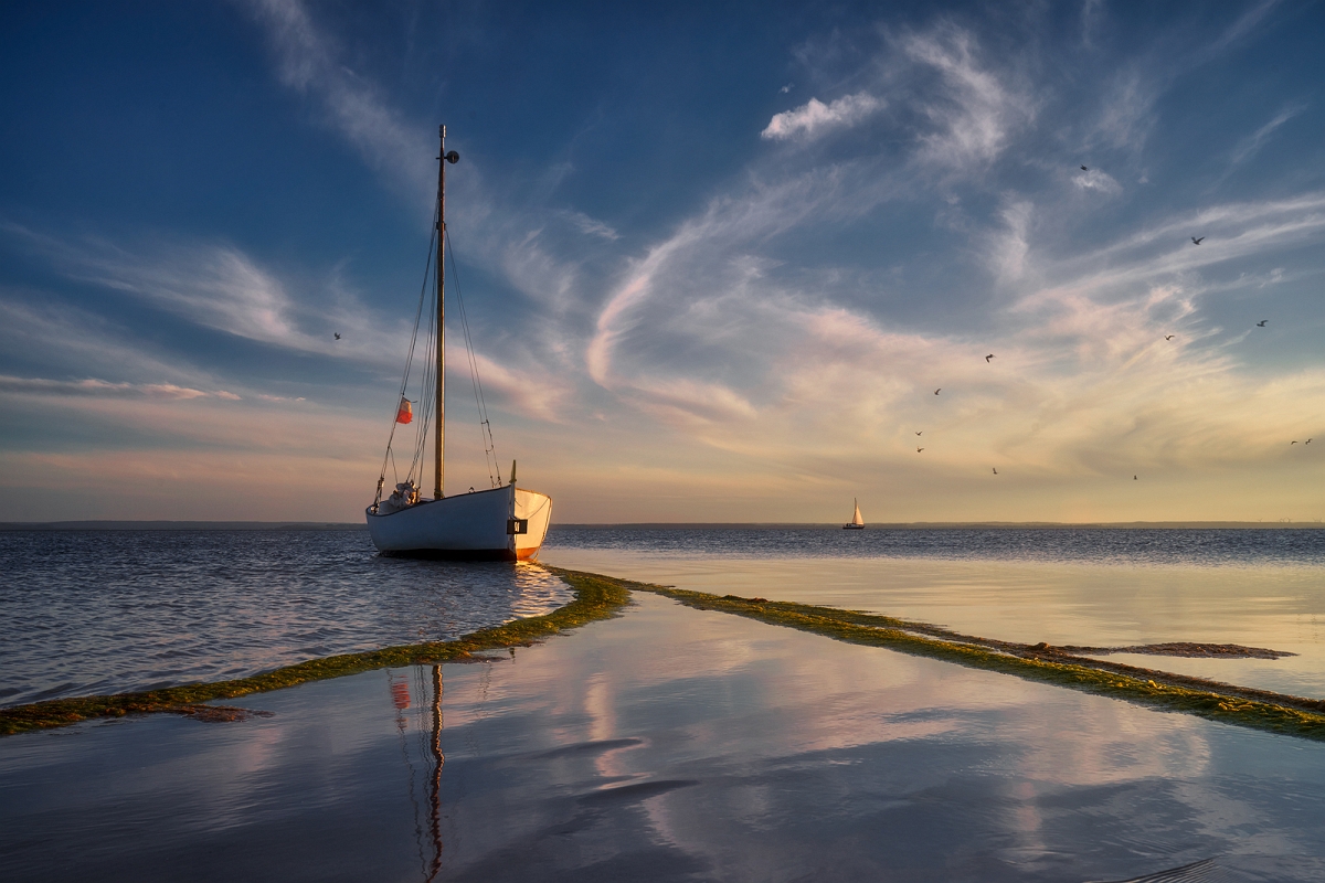 _DSC2407MinD.jpg - Kuznica , krajobraz z łódka