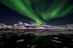 Northen Light