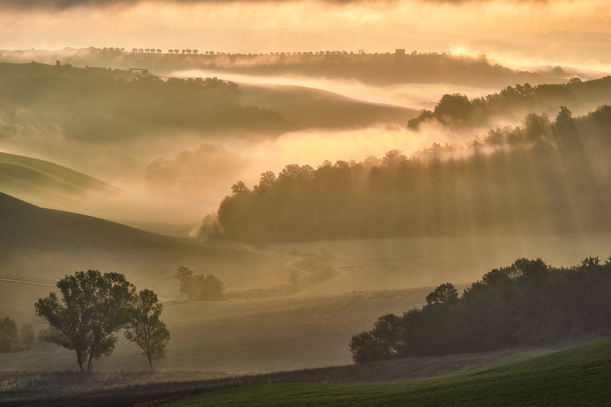 DSC_0076orgMinD.jpg - W porannych mgłach