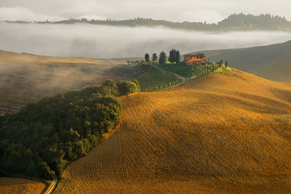 DSC_0084k3min.jpg - * Farma *