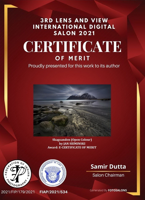 3RD LENS AND VIEW.JPG - Grudzien 2021 w konkursie 3 RD LNS & VIEW INTERNATIONAL DIGITAL SALON 2021 INDIE pod patronatem FIAP, fotografia "SKAGSANDEN" zdobyła e-CERTIFICATE OF MERIT
