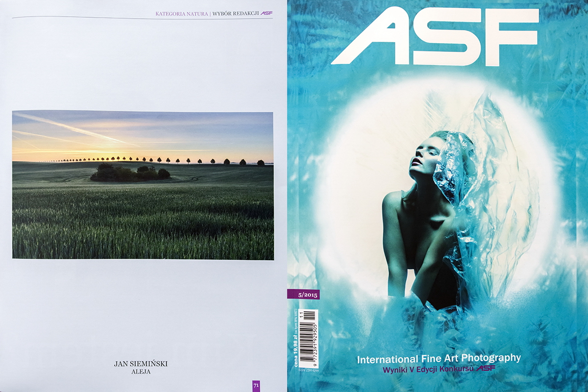 Aleja - ASF.jpg - "ALEJA" - 30 10 2015 została laureatem V Edycji konkursu ASF International Fine Art Photography w kategorii Natura, http://asfashion.eu/portfolia/v-edycja-konkursu