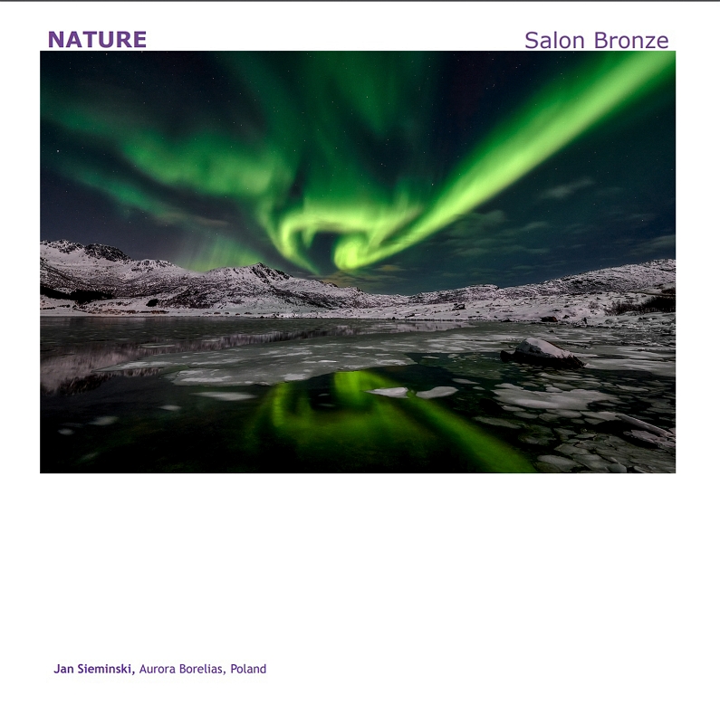Aurora Borealis Salon Bronze Dalia.jpg - Sierpien 2022 fotografia "AURORA BOREALIS" zdobyła Salon Braz Medal  w konkursie fotograficznym DALIA w Czarnogórze, konkurs pod patronatem Photographic Society of America