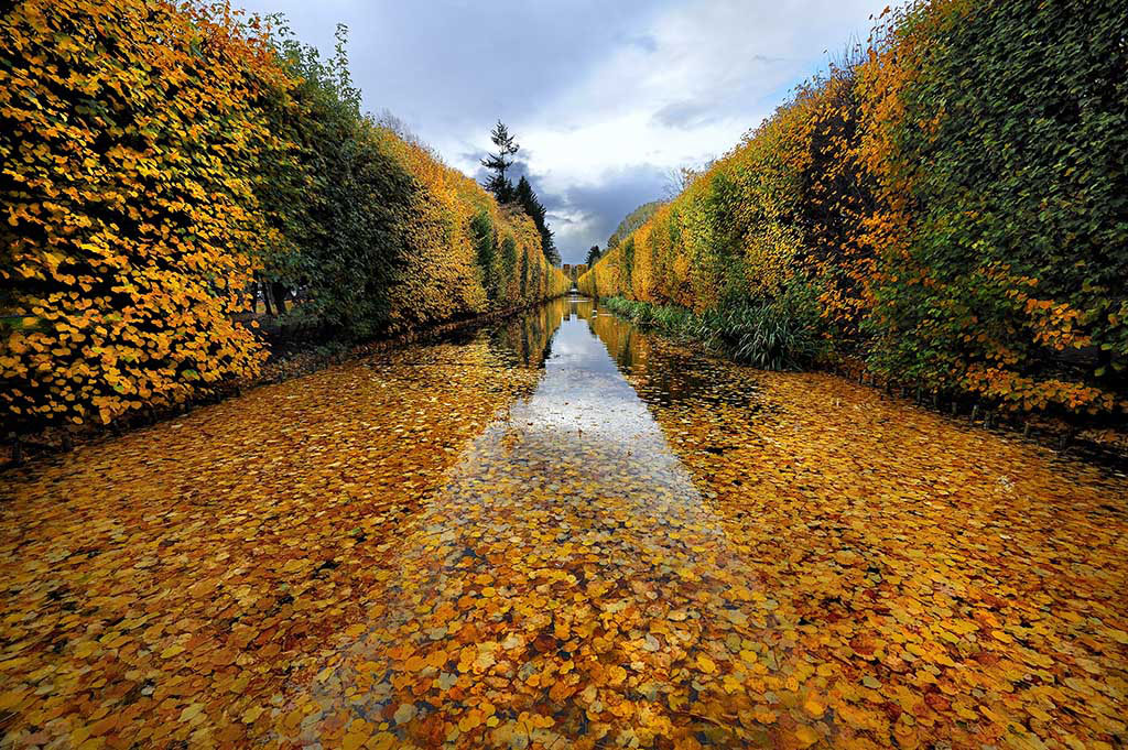 DSC_5536k1.jpg - * W parku * - fotografia zajęła I miejsce w jesiennym konkursie National Geographic 2009 http://www.national-geographic.pl/artykuly/pokaz/jesienny-konkurs-fotograficzny-rozstrzygniety/,........oraz zostało wybrane w plebistycie przez uzytkownikow Forum Nikona do zamieszczenia w kalendarzu portalu na rok 2010