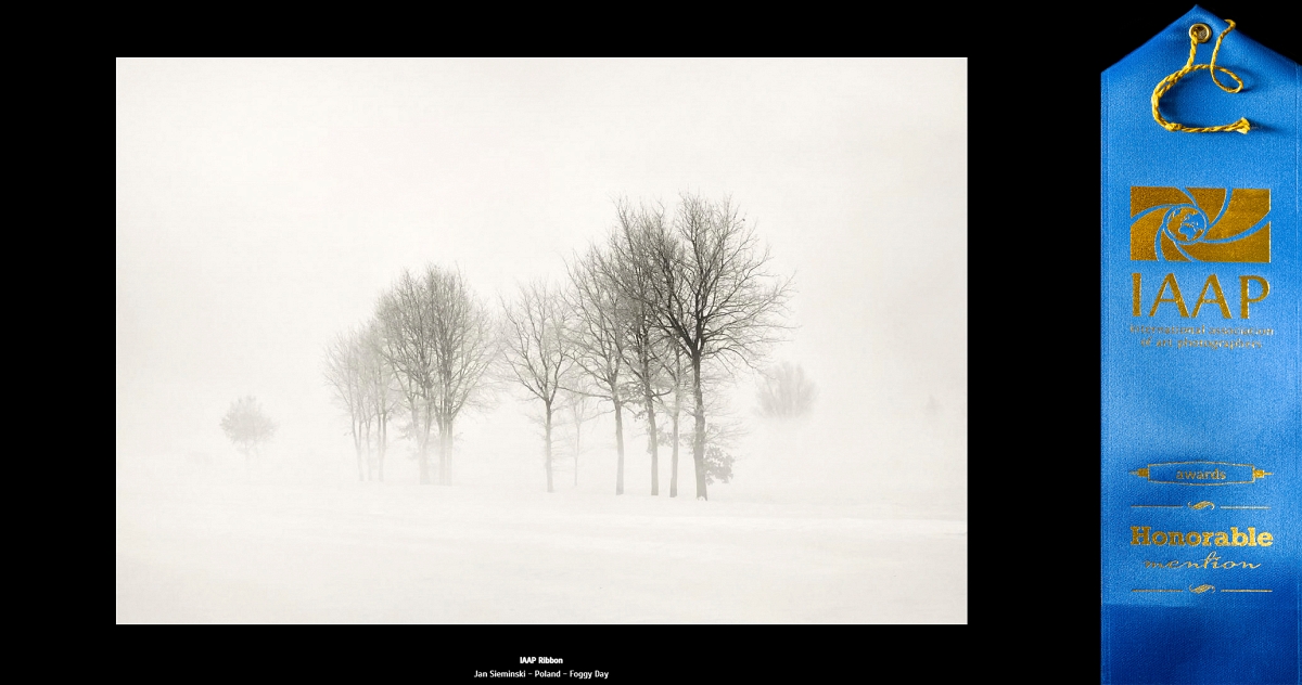 Foggy Day w konkursie The International Exhibition Of Art Photography Motion K.jpg - Kwiecien 2021 fotografia   "Foggy Day" w konkursie The International Exhibition Of Art Photography Motion,  pod patronatem Photographic Society Of America, otrzymała wyroznienie IPPA Ribbon