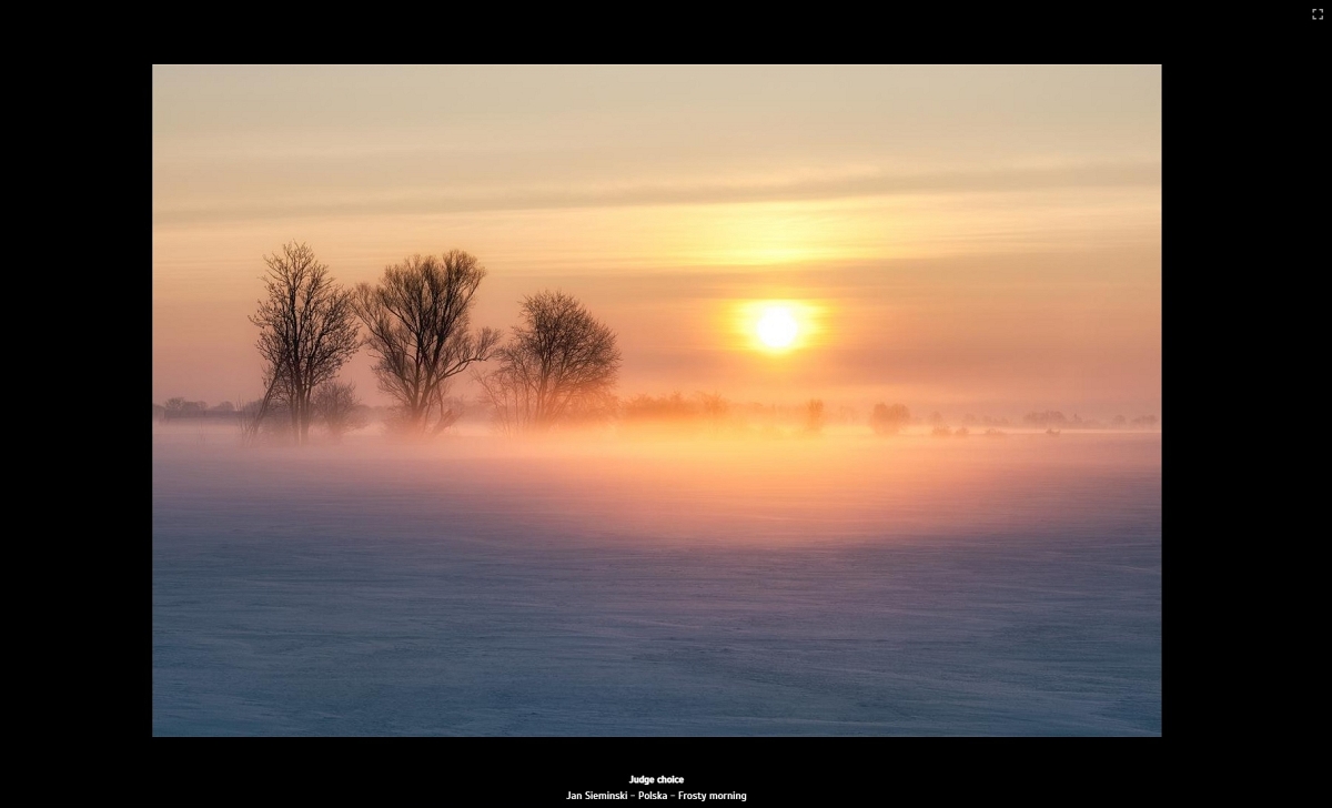 Jugde Choice Lens Master circuit contest of Photografii Saudi Arabia.jpg - Marzec 2021 fotografia "Frosty Morning" otrzymała wyroznienie Jugde Choice w konkursie Lens Master circuit contest of Photography  Arabia Saudyjska pod patronatem Photographic Society Of America,
