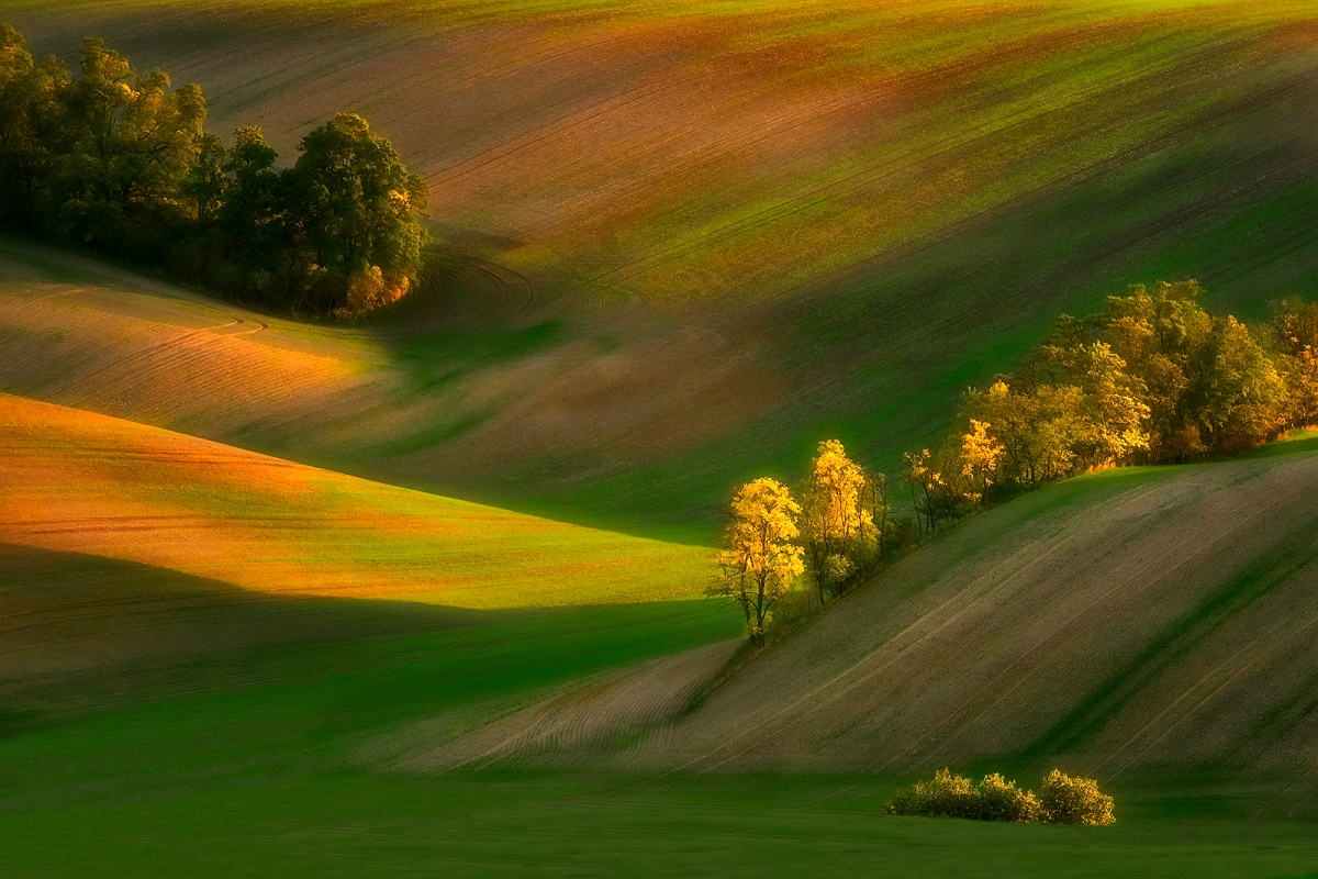 MORAVIAN SPRING kyjev.jpg - Wrzesien 2022 Indie w konkursie FOTOART SUPER CIRCUIT fotografia "Moravian Spring" zdobyła FASC GOLD MEDAL oraz FASC MERIT MEDAL, konkurs organizowany pod patronatem Photographic Society of America
