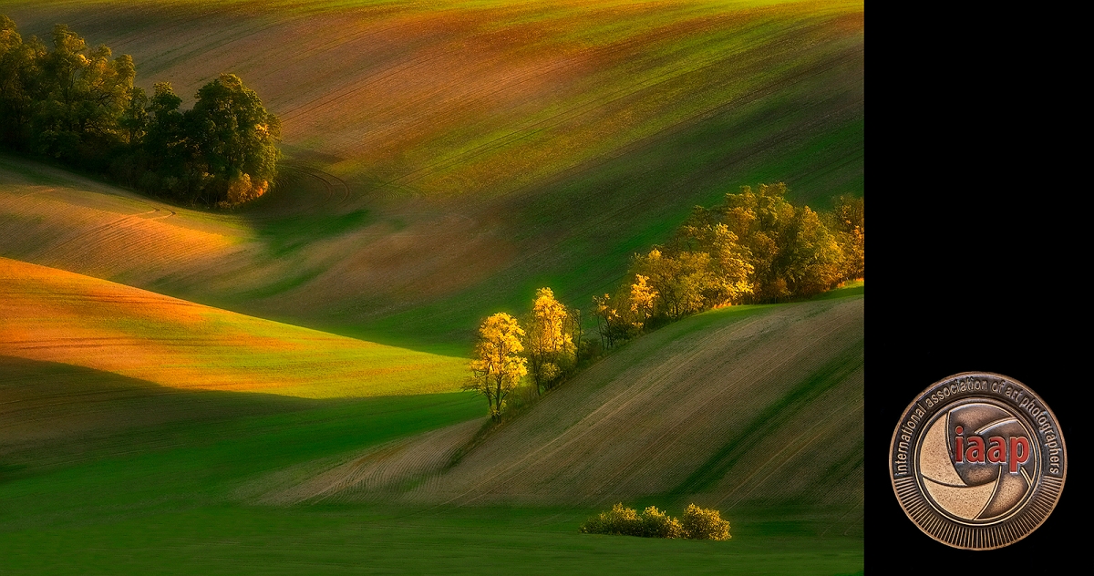 Moravian spring - Wojnicz braz IAAP.jpg - Pazdziernik 2021 fotografia "Moravin Springs" nagrodzona Brązowym Medalem IAAP w konkursie 7th Wojnicz ( Polska ) International Salon of Photografphy 2021.....01 listopad 2021 fotografia została wyrozniona FIAP RIBBON w konkursie&nbsp;SAGARMATHA INTERNATIONAL SALON-2021 Nepal