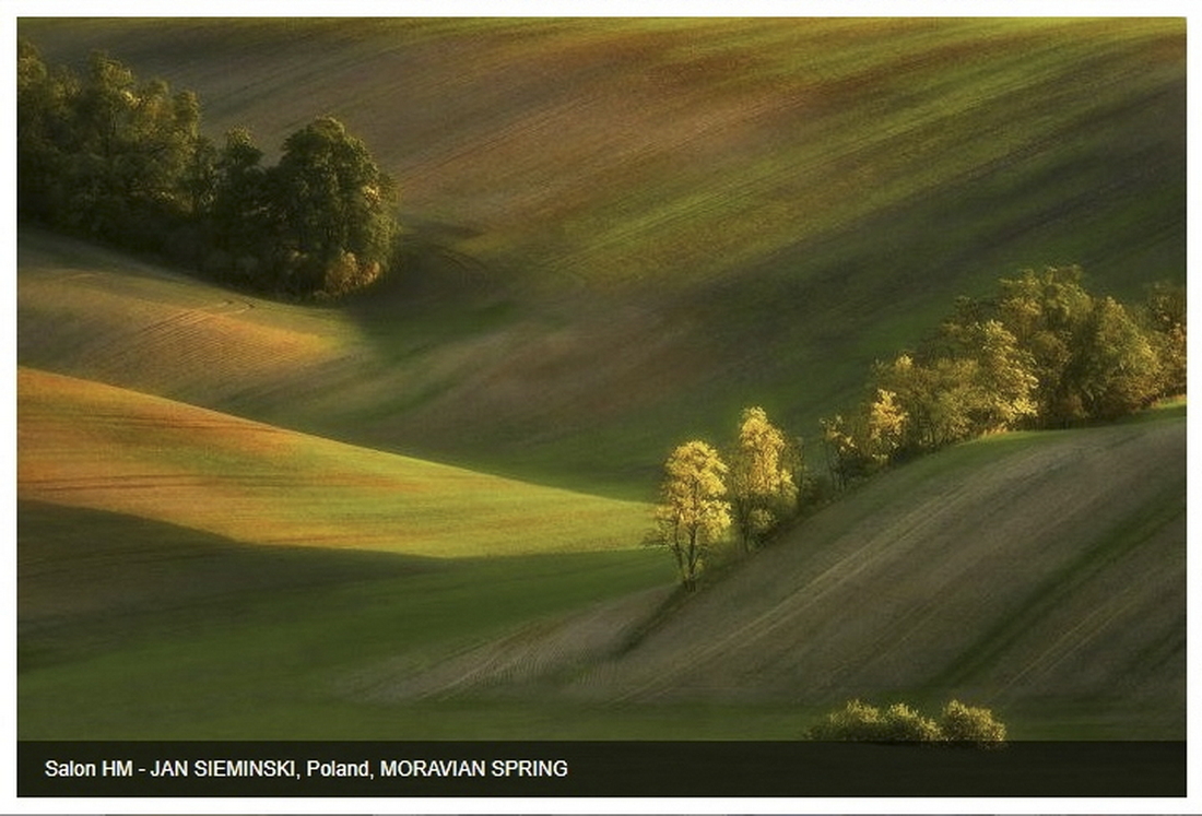 Photo Medians _ HM Moravian Spring.jpg - Styczen 2023 , konkurs fotograficzny Photo Medians Serbia-China-Montenegro-Hungary, pod patronatem Photographic Society of America, fotografia MORAVIAN SPRING zdobyła Salon Honorable Mention