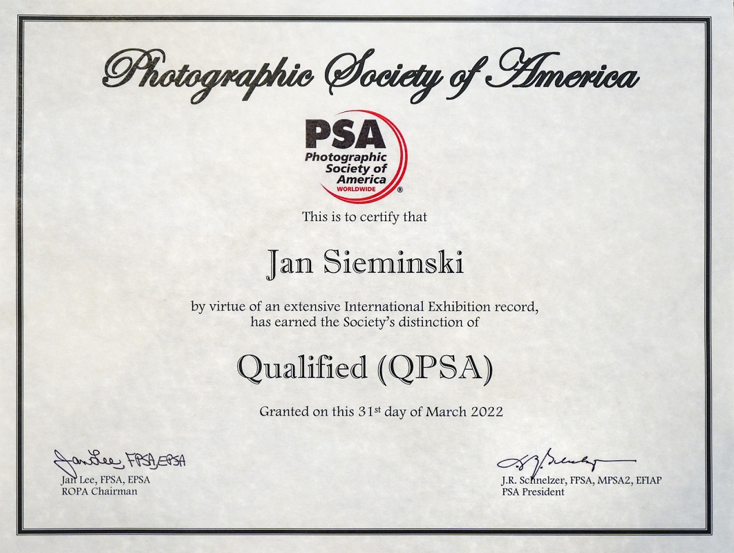 QPSA_DSC0602 kopia.jpg - Marzec 2022 - Photographic Society of America po weryfikacji  moich  osiagniec  fotograficznych, przyznała mi tytuł QPSA
