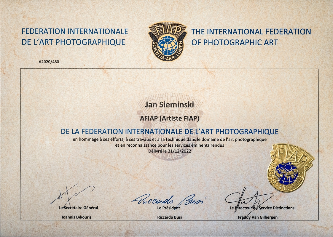 _DSC4600AMinD.jpg - Grudzien 2022, Międzynarodowa Federacja Sztuki Fotograficznej FIAP (fr. Fédération Internationale de l'Art Photographique) z siedziba w Luksemburgu, rok powstania 1956, w podsumowaniu moich osiagniec fotograficznych przyznała mi tytuł ARTYSTY MIEDZYNARODOWEGO - AFIAP.    FIAP: Fédération Internationale de l'Art Photographique jest międzynarodową federacją, której członkami są krajowe stowarzyszenia fotograficzne. W Polsce jego reprezentantem jest Fotoklub RP Stowarzyszenie Twórców ktorego mam zaszczyt byc członkiem. FIAP jest jedyną międzynarodową organizacją fotograficzną, która została uznana i jest reprezentowana przez UNESCO. FIAP zrzesza organizacje fotograficzne z ponad 85 krajów członkowskich i reprezentuje interesy prawie miliona fotografów.Celem FIAP jest promocja sztuki fotografii we wszystkich jej aspektach oraz wspieranie wszelkiego rodzaju imprez fotograficznych. Tytuły FIAP nadawane są w celu uhonorowania wybitnych osób w dziedzinie fotografii, są to najwyższej rangi tytuły, jakie może otrzymać fotograf. Prace fotografa prezentowane w procesie nadawania tytułu stają się częścią artystycznego dziedzictwa FIAP.