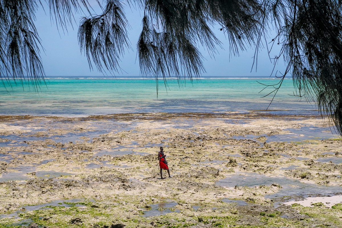 _2160099MinD.jpg - Zanzibar okolice Jambiani 2024