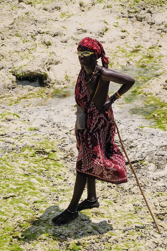 _2211158A kopia.jpg - Masaj Marioo